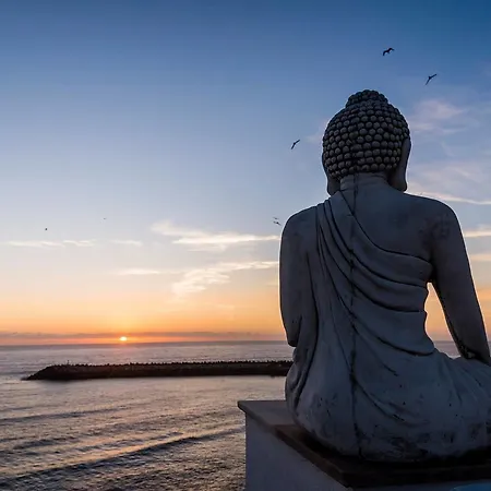 Sandhi House - Yoga & Wellness بيت ضيافة 3*