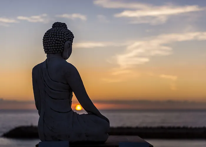 Sandhi House - Yoga & Wellness بيت ضيافة 3*